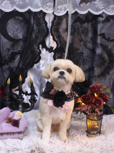 20231003モカちゃん